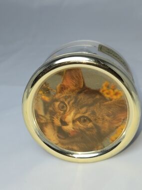 Vintage Reuge Music Box Kitten Cat Raindrops Keep Fallin' On My Head Swiss Movem